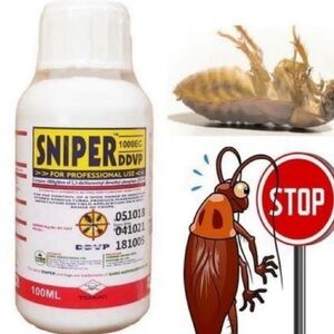 Cockroach